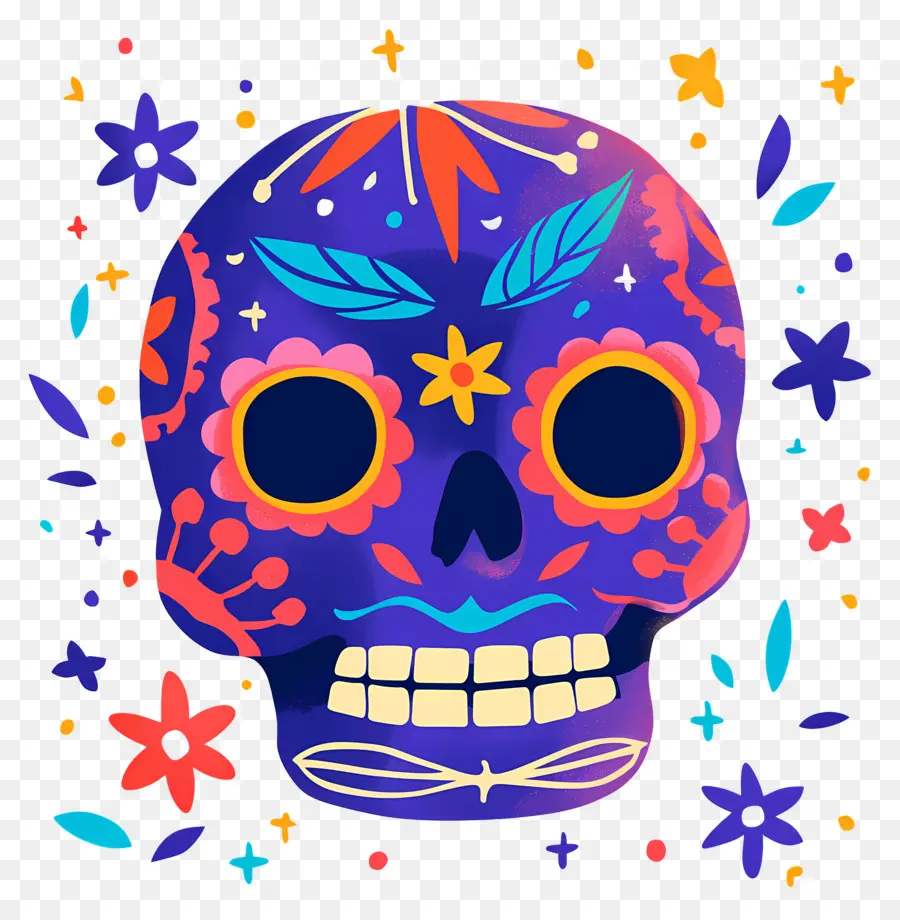 Linda Calavera，Calavera Colorida PNG