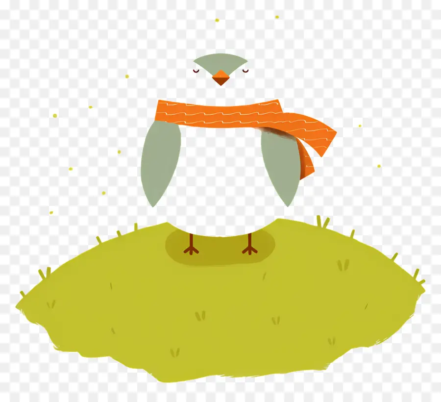 Pájaro De Dibujos Animados，Pájaro Con Bufanda PNG