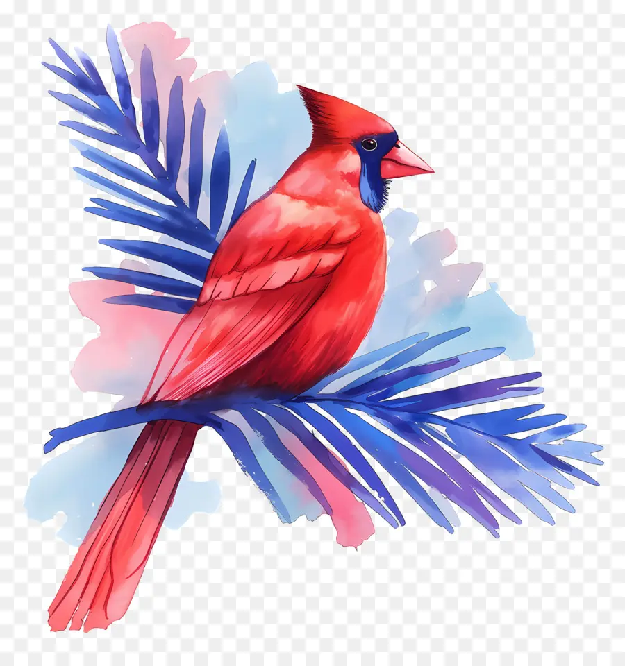 Pájaro De Invierno，Cardenal Rojo PNG