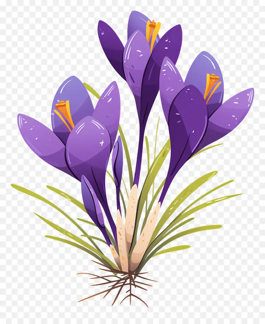 Azafrán Azafrán，Flores Moradas PNG