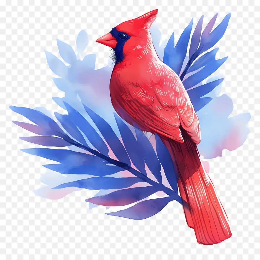 Pájaro De Invierno，Cardenal Rojo PNG