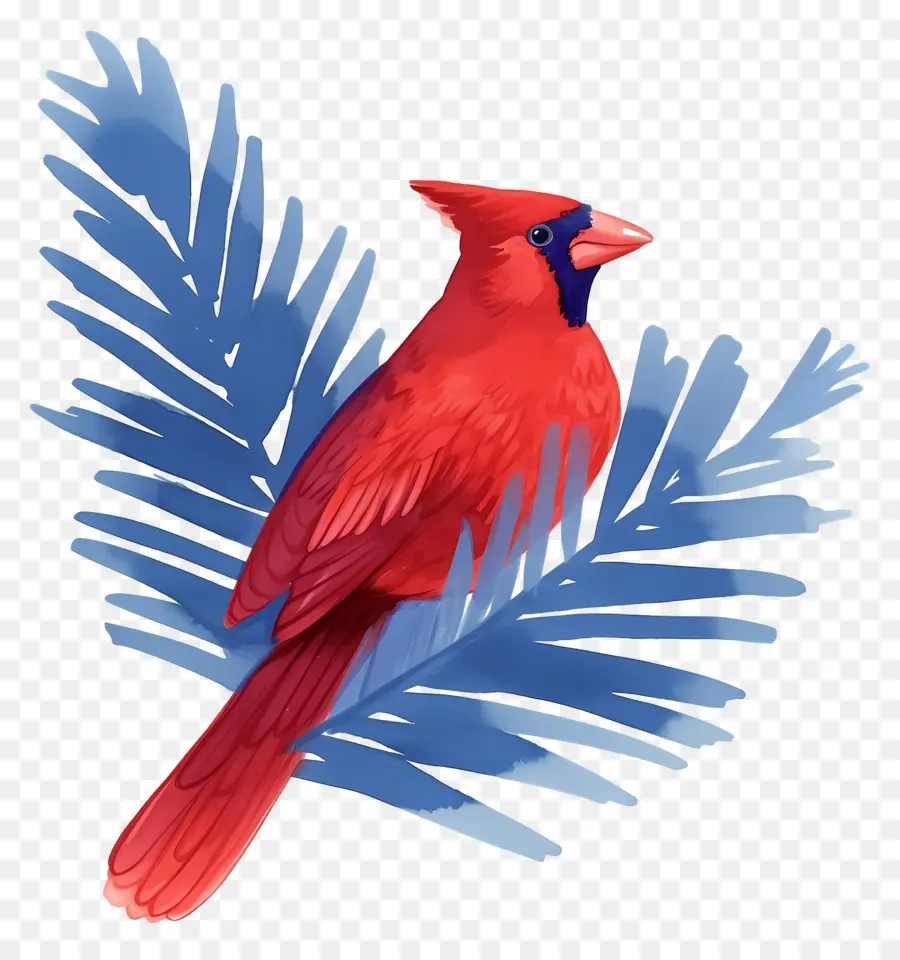 Pájaro De Invierno，Cardenal Rojo PNG