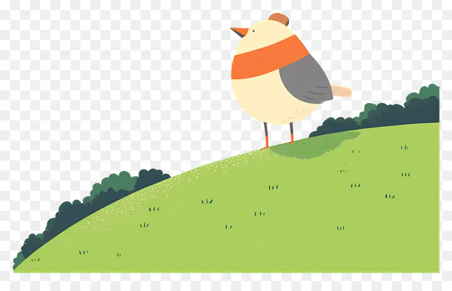 Pájaro De Dibujos Animados，Pájaro Con Bufanda PNG