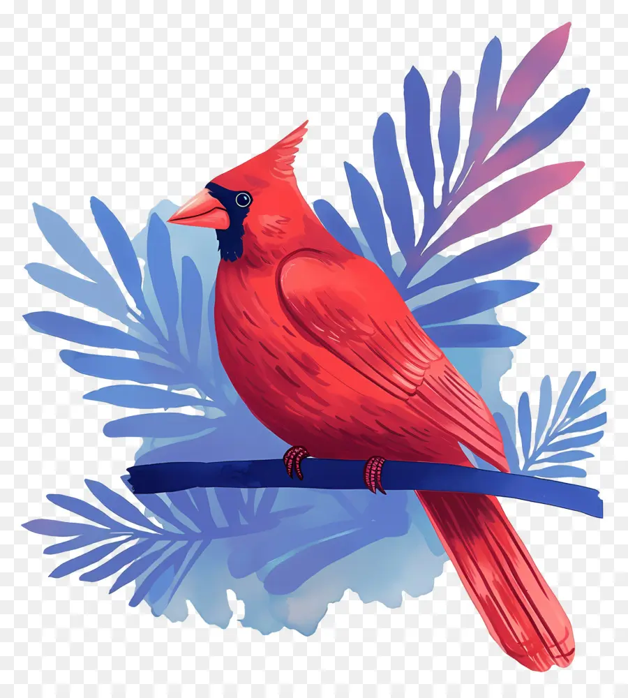 Pájaro De Invierno，Cardenal Rojo PNG