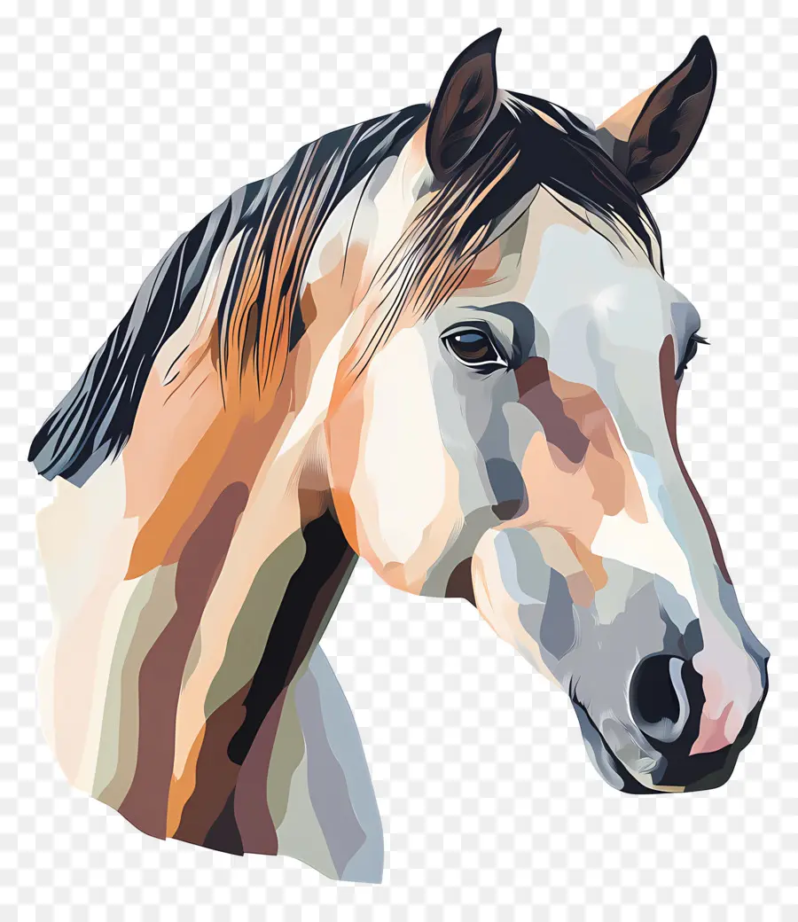 Vaquero，Caballo PNG