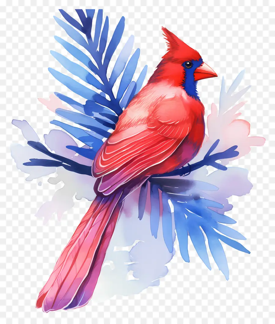 Pájaro De Invierno，Cardenal Rojo PNG