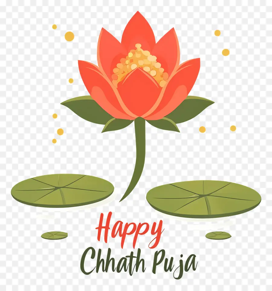 Feliz Chhath Puja，Flor De Loto PNG