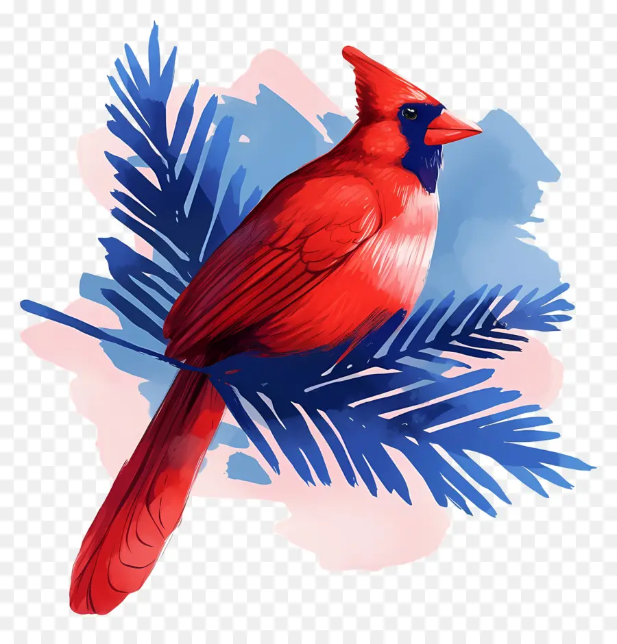 Pájaro De Invierno，Cardenal Rojo PNG