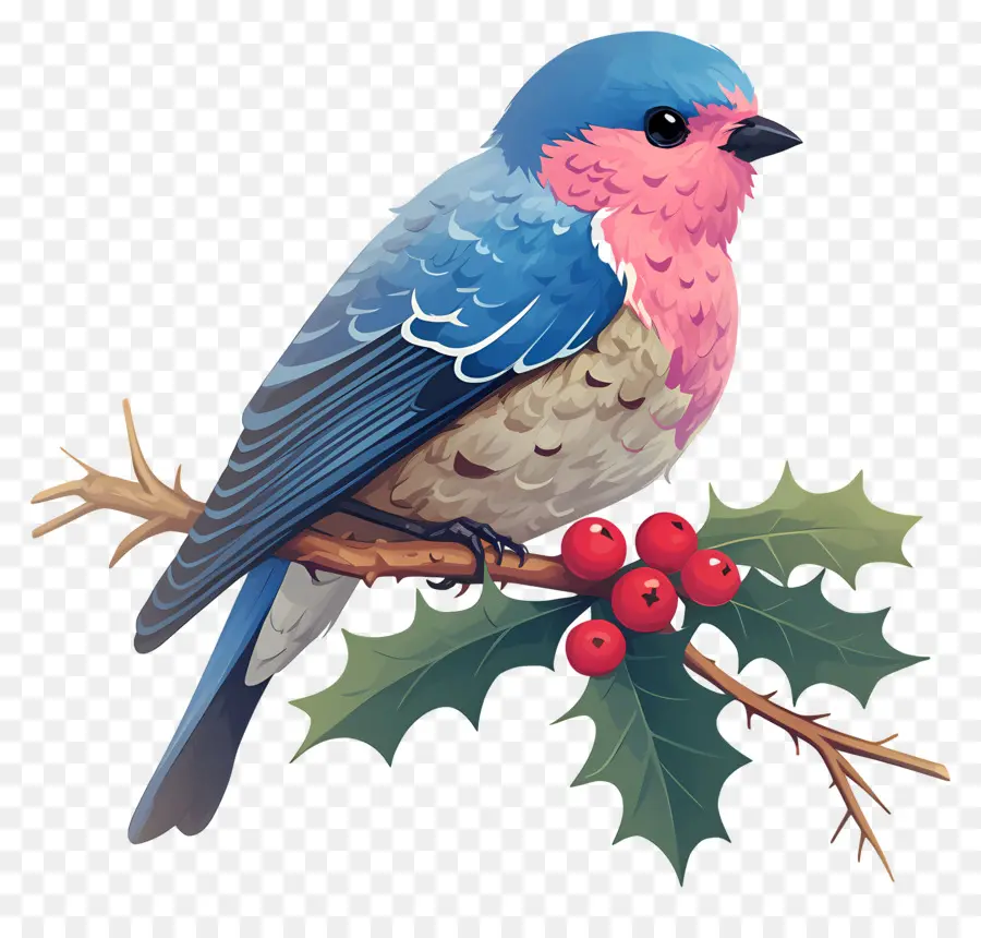 Pájaro De Invierno，Pájaro Azul PNG