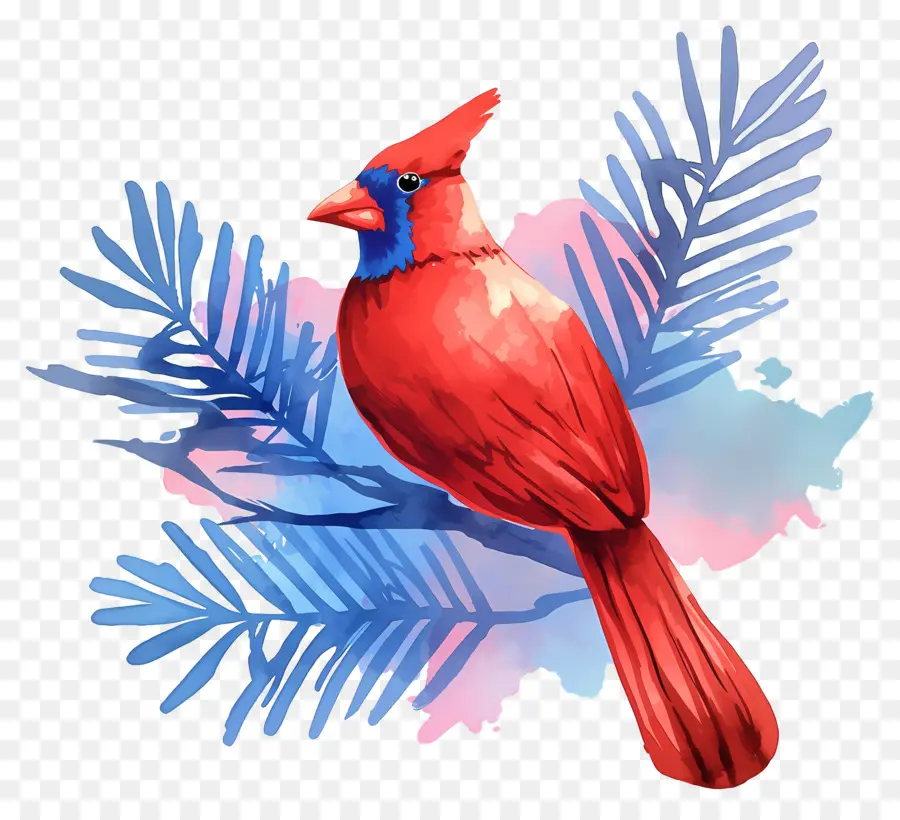 Pájaro De Invierno，Cardenal Rojo PNG