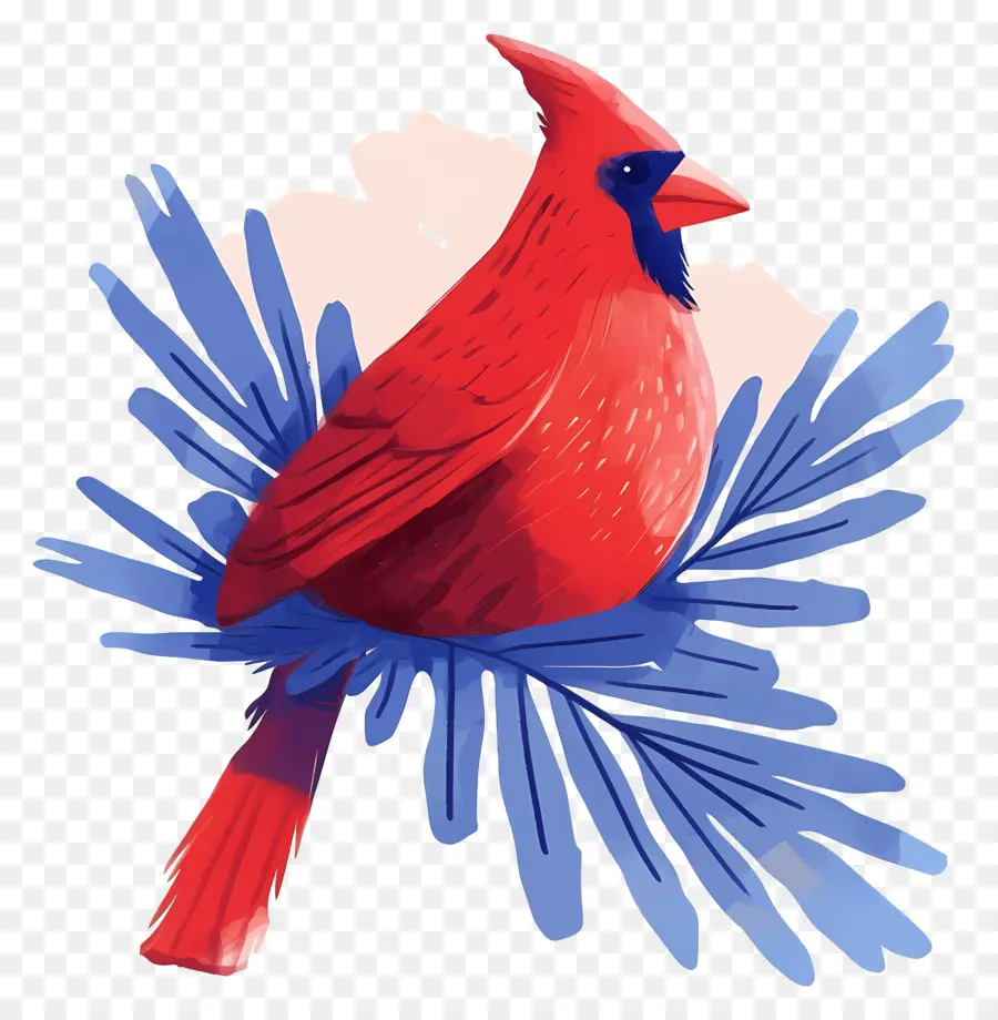 Pájaro De Invierno，Cardenal Rojo PNG