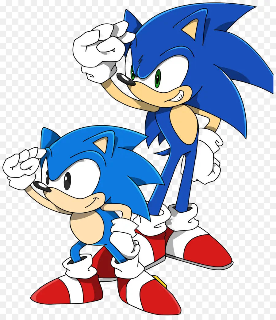 Sonic El Erizo，Personaje Erizo PNG