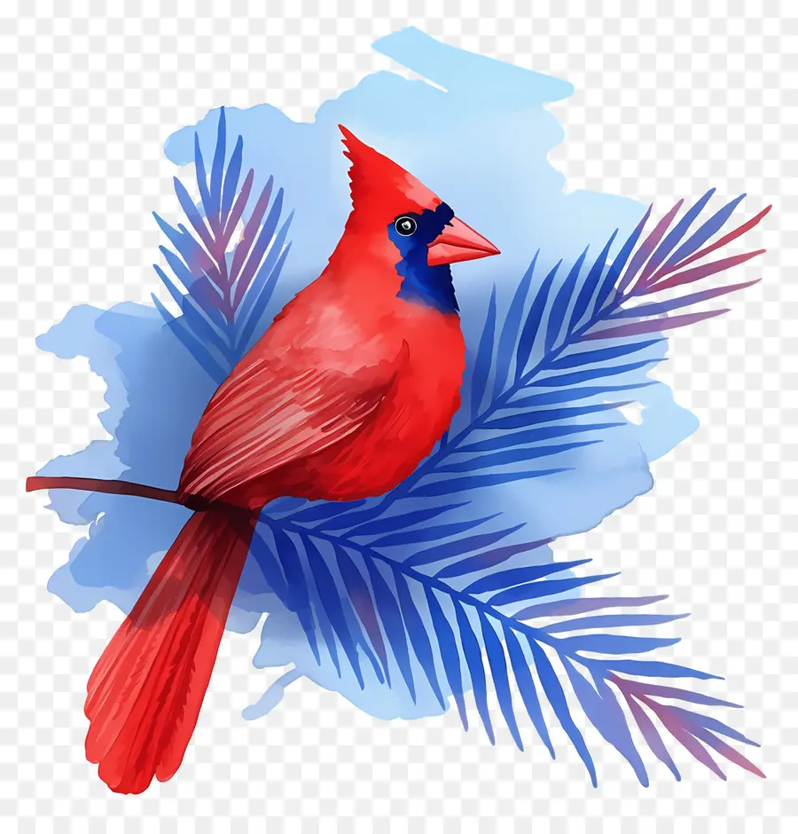 Pájaro De Invierno，Cardenal Rojo PNG