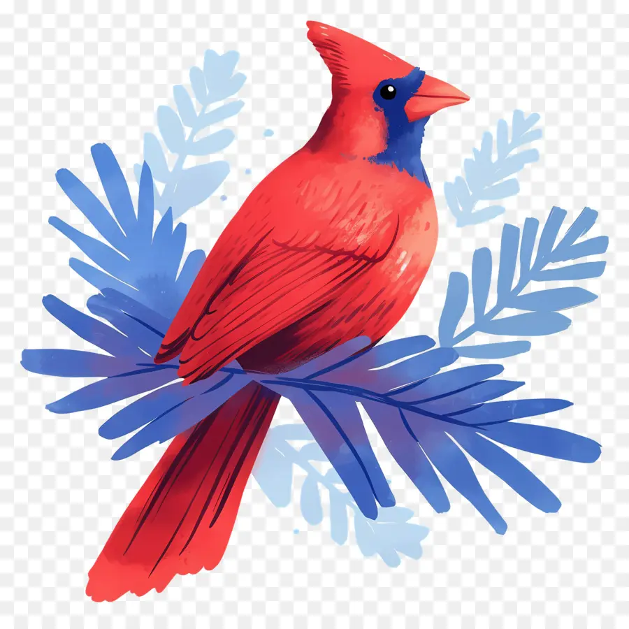 Pájaro De Invierno，Cardenal Rojo PNG