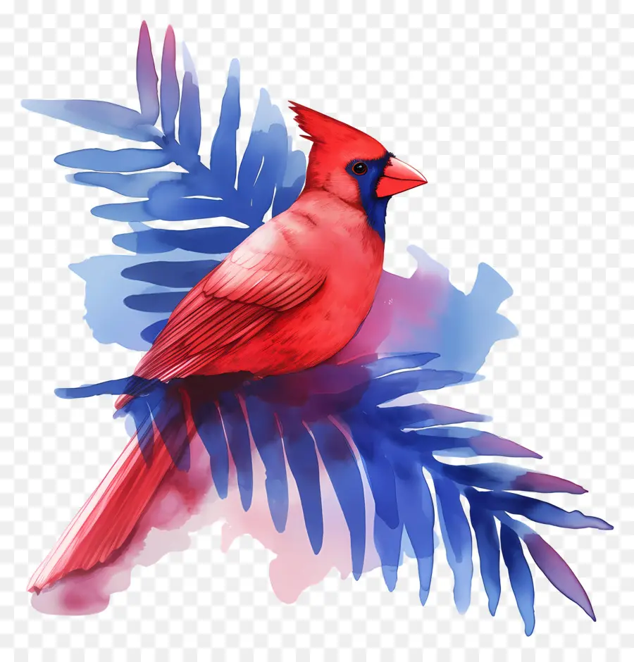 Pájaro De Invierno，Cardenal Rojo PNG