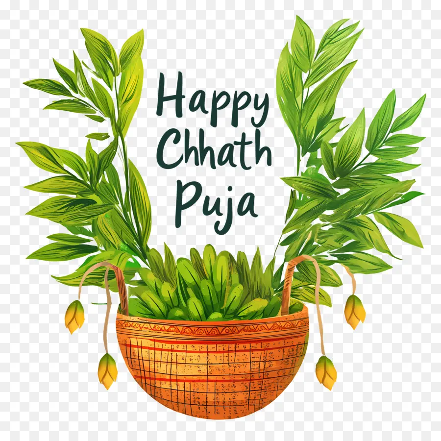 Feliz Chhath Puja，Cesta Con Hojas PNG