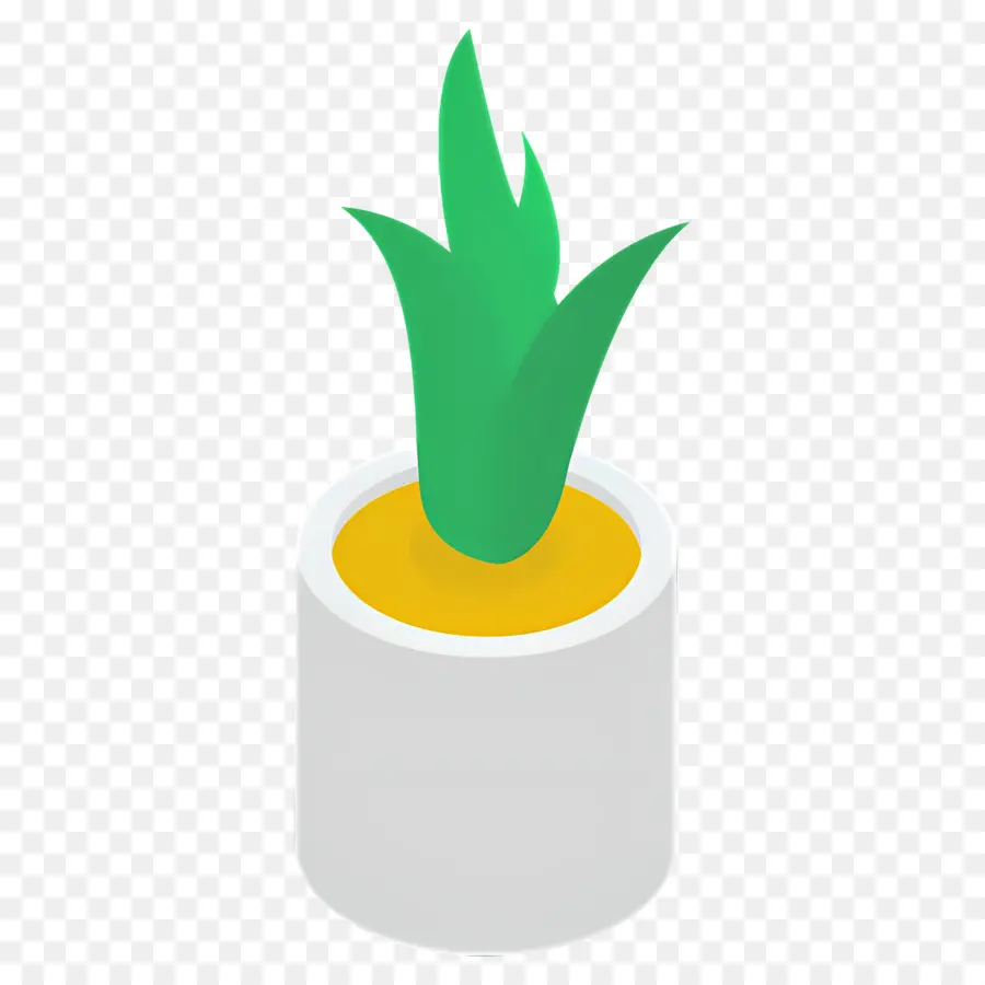 áloe Vera，Planta En Maceta PNG