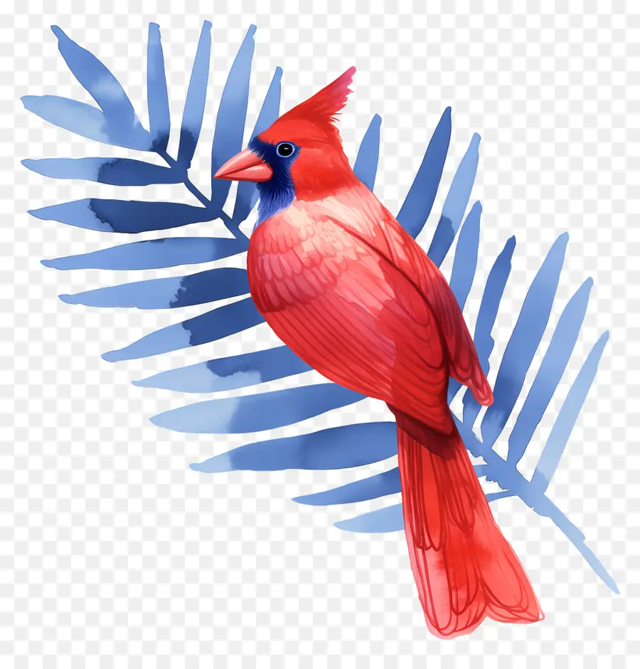 Pájaro De Invierno，Cardenal Rojo PNG