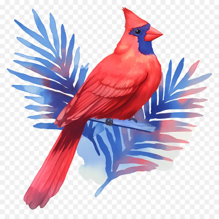 Pájaro De Invierno，Cardenal Rojo PNG