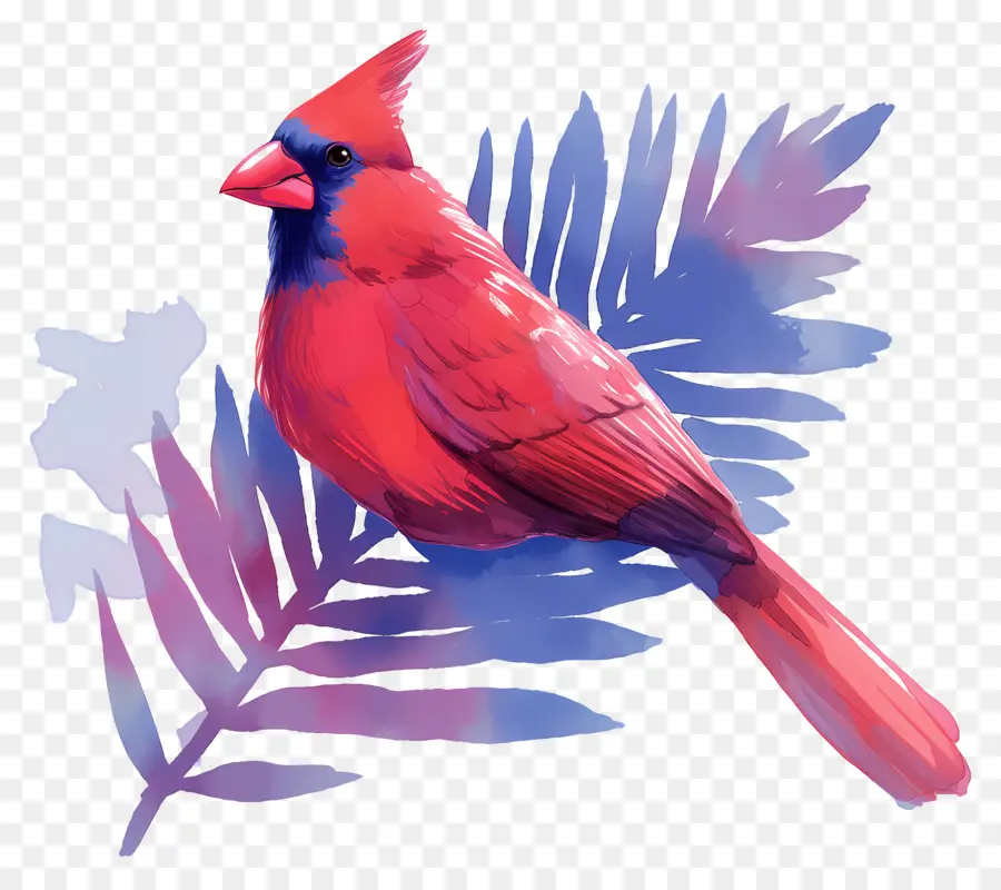 Pájaro De Invierno，Cardenal Rojo PNG