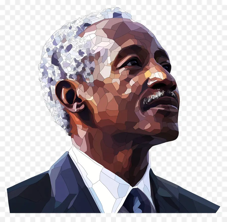 Julius Nyerere，Arte Poligonal De Anciano PNG