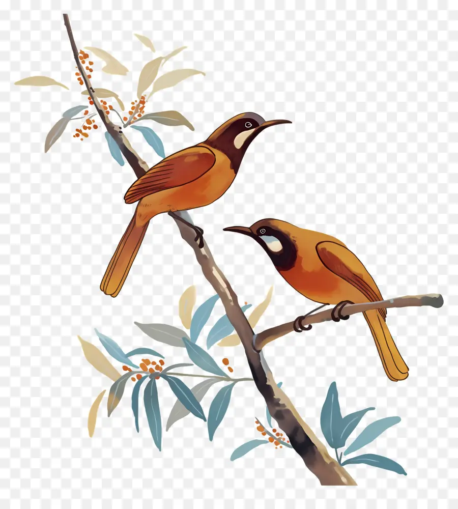 árbol Con Pájaros，Pájaros En Rama PNG