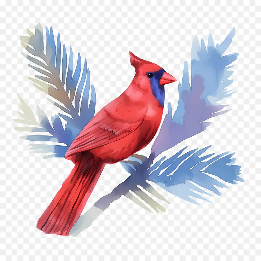 Pájaro De Invierno，Cardenal Rojo PNG