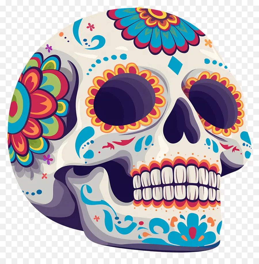 Calavera Mexicana，Calavera Decorativa PNG