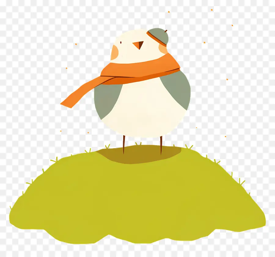 Pájaro De Dibujos Animados，Pájaro Con Bufanda PNG