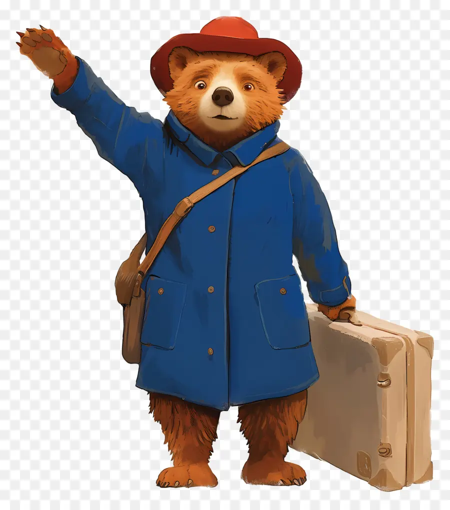 Paddington，Oso De Dibujos Animados PNG