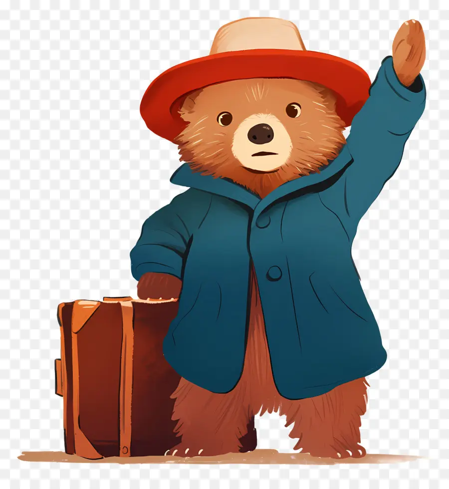 Paddington，Oso De Dibujos Animados PNG