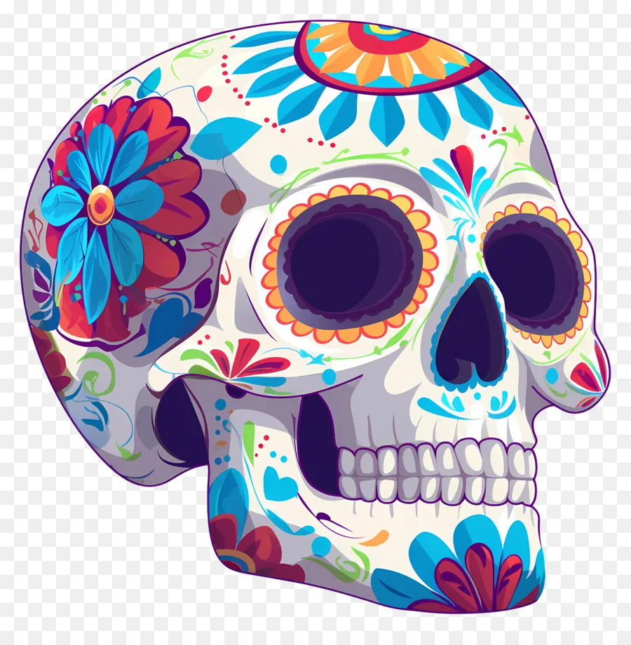 Calavera Mexicana，Calavera Decorativa PNG