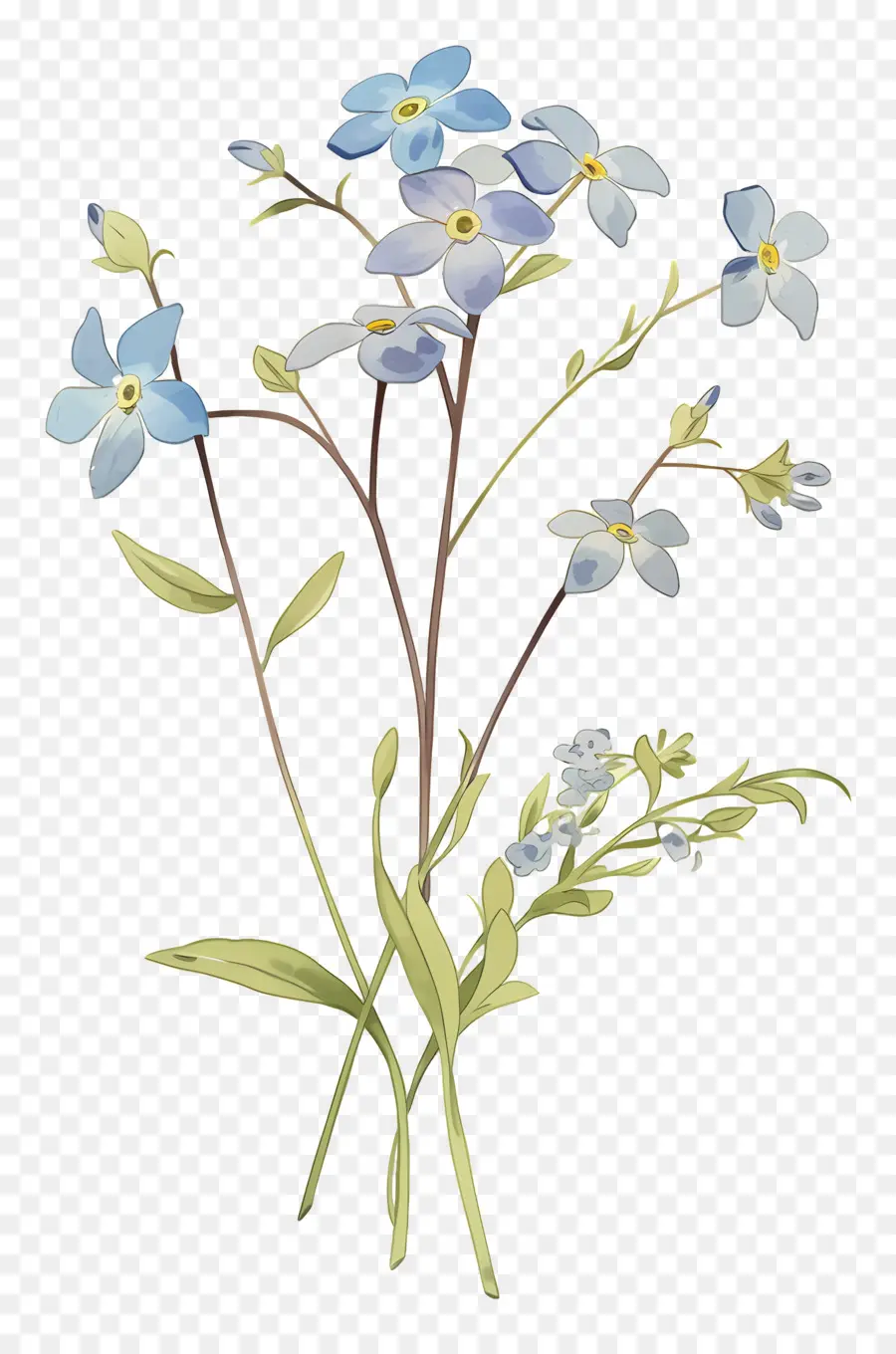 No Me Olvides Flor，Flores Azules PNG