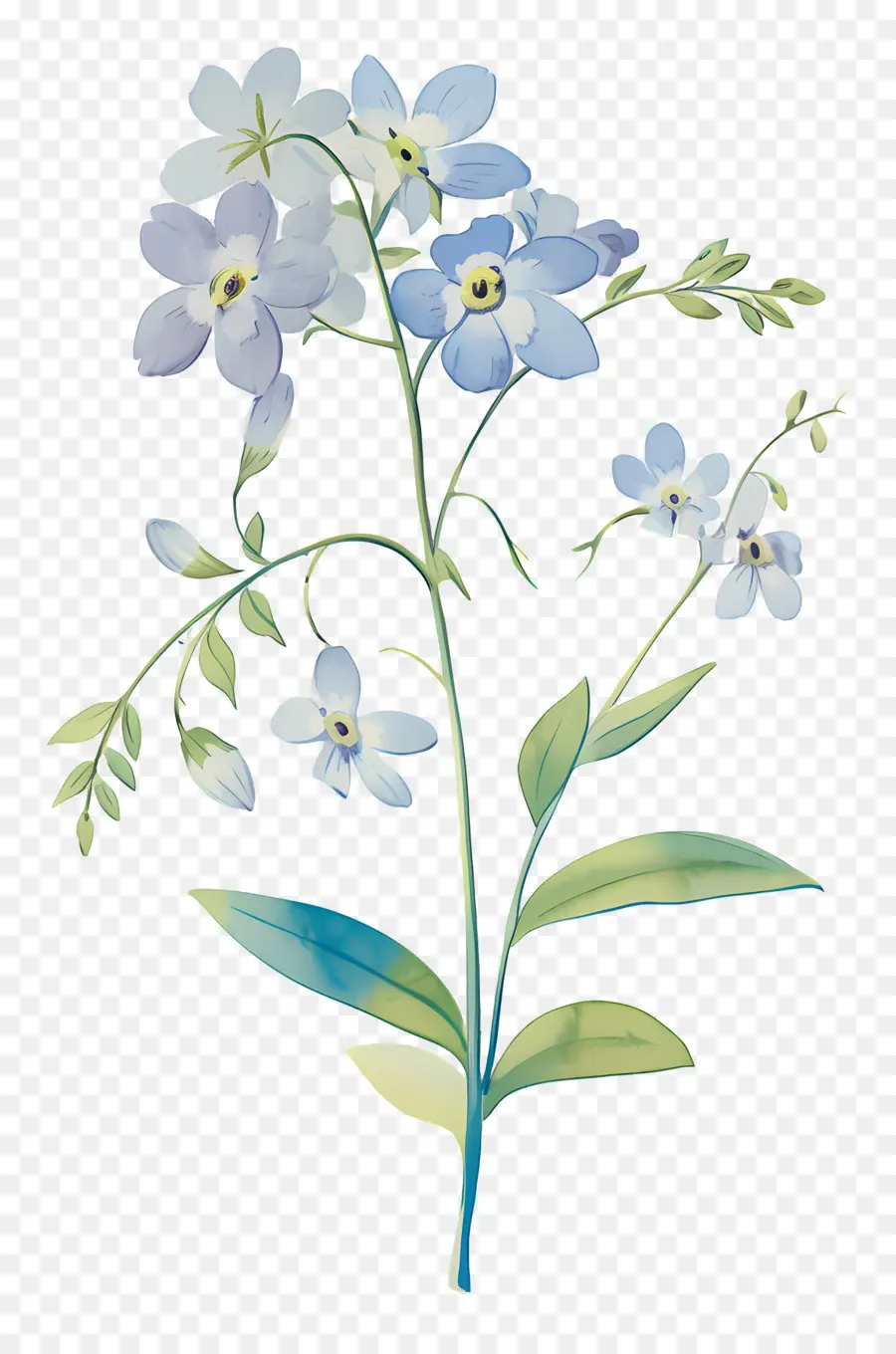 No Me Olvides Flor，Flores Azules PNG