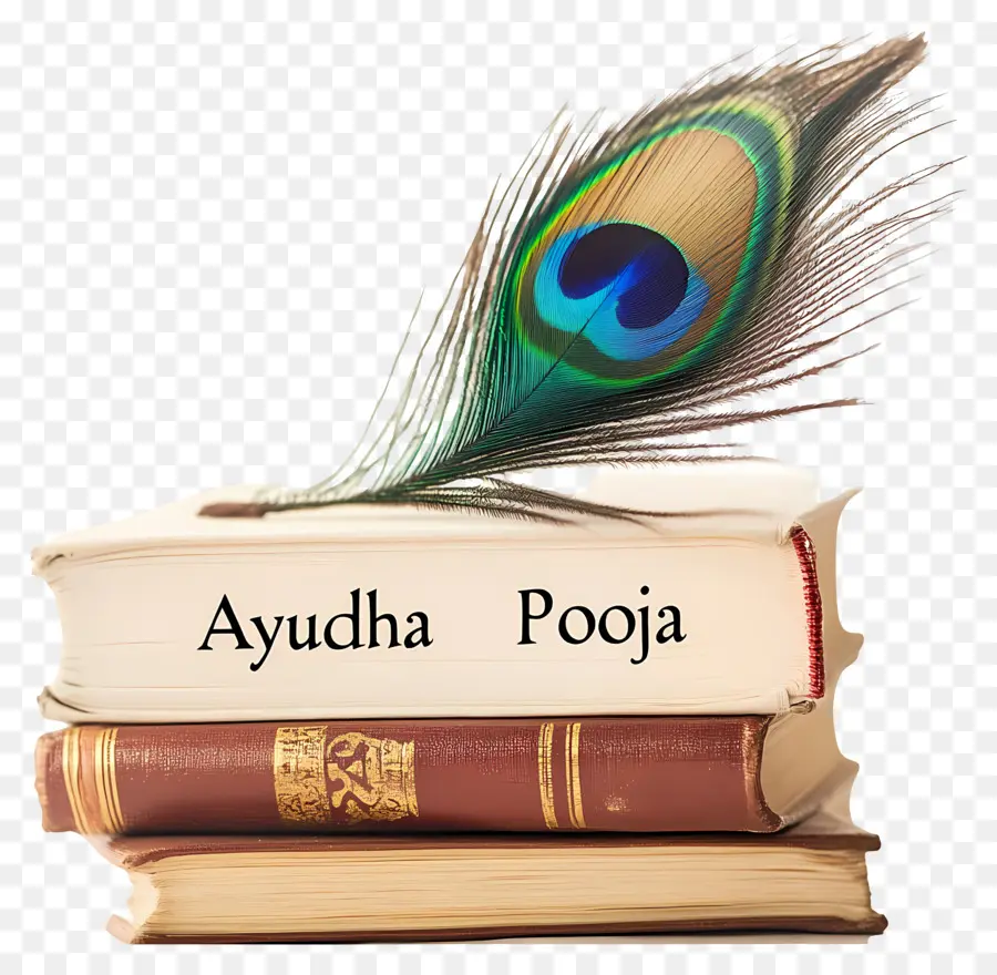 Ayudha Pooja，Libros De Ayudha Pooja PNG