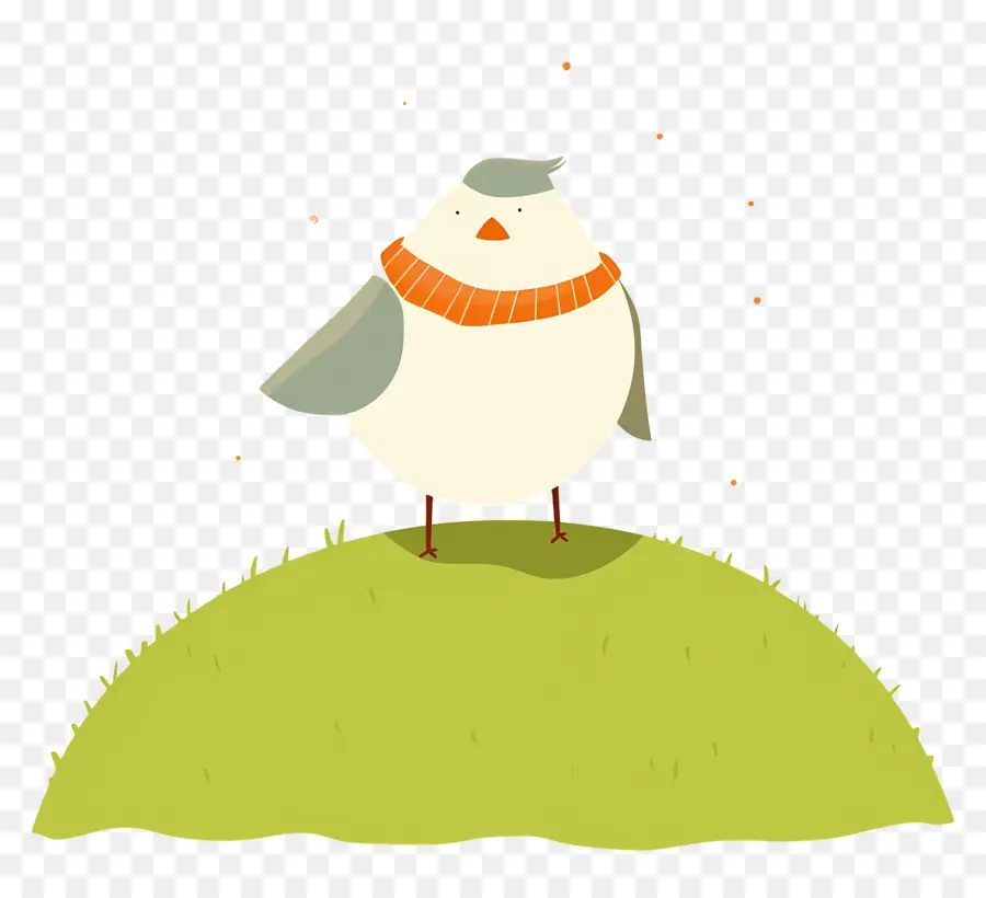 Pájaro De Dibujos Animados，Pájaro Con Bufanda PNG