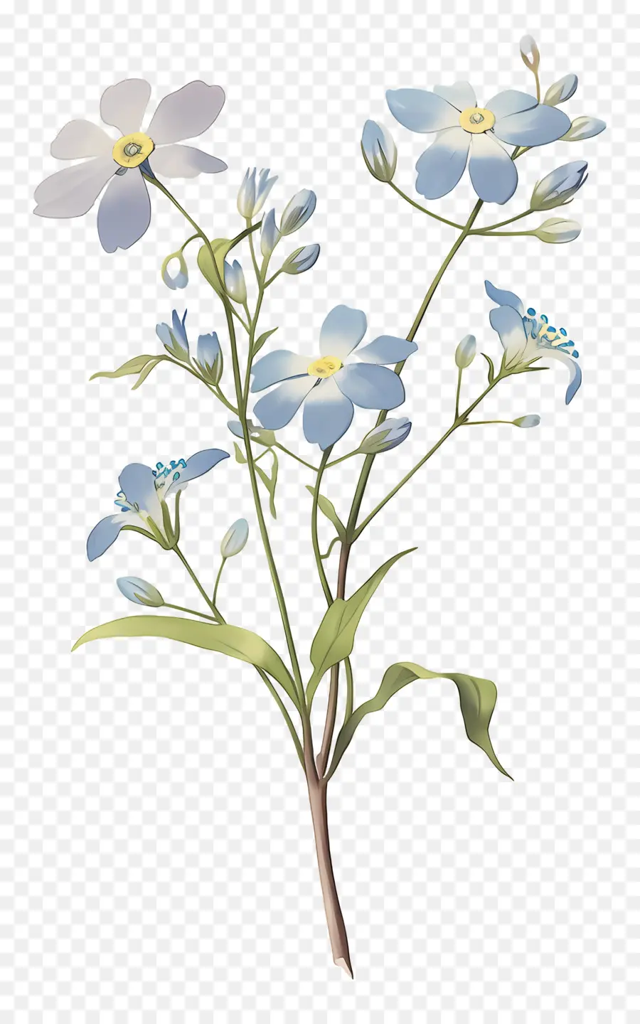 No Me Olvides Flor，Flor Azul PNG