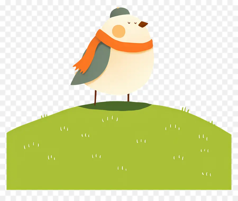 Pájaro De Dibujos Animados，Pájaro Con Bufanda PNG