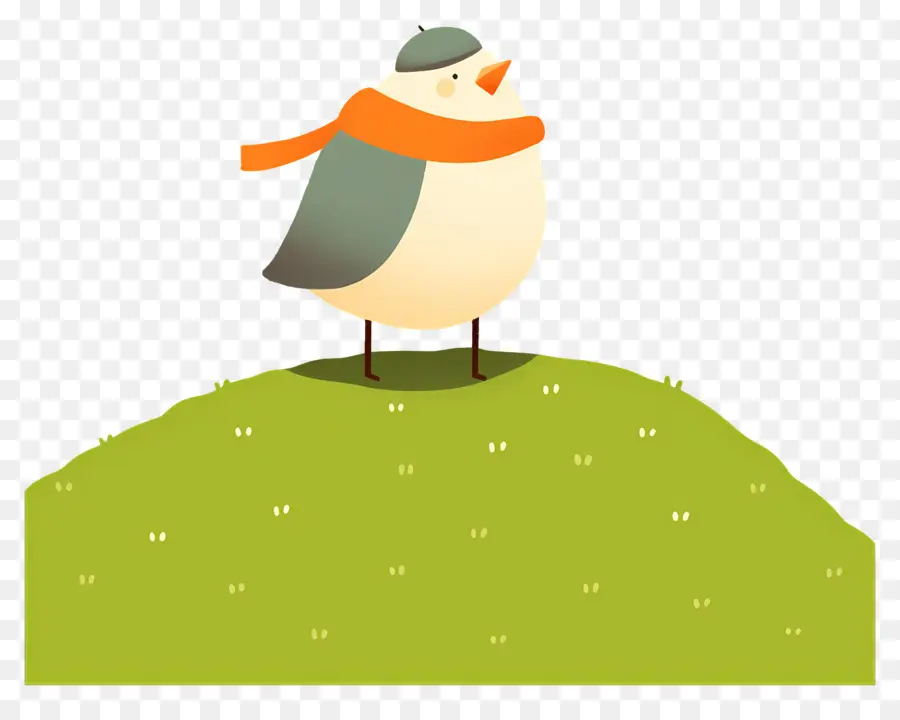 Pájaro De Dibujos Animados，Pájaro Con Bufanda PNG