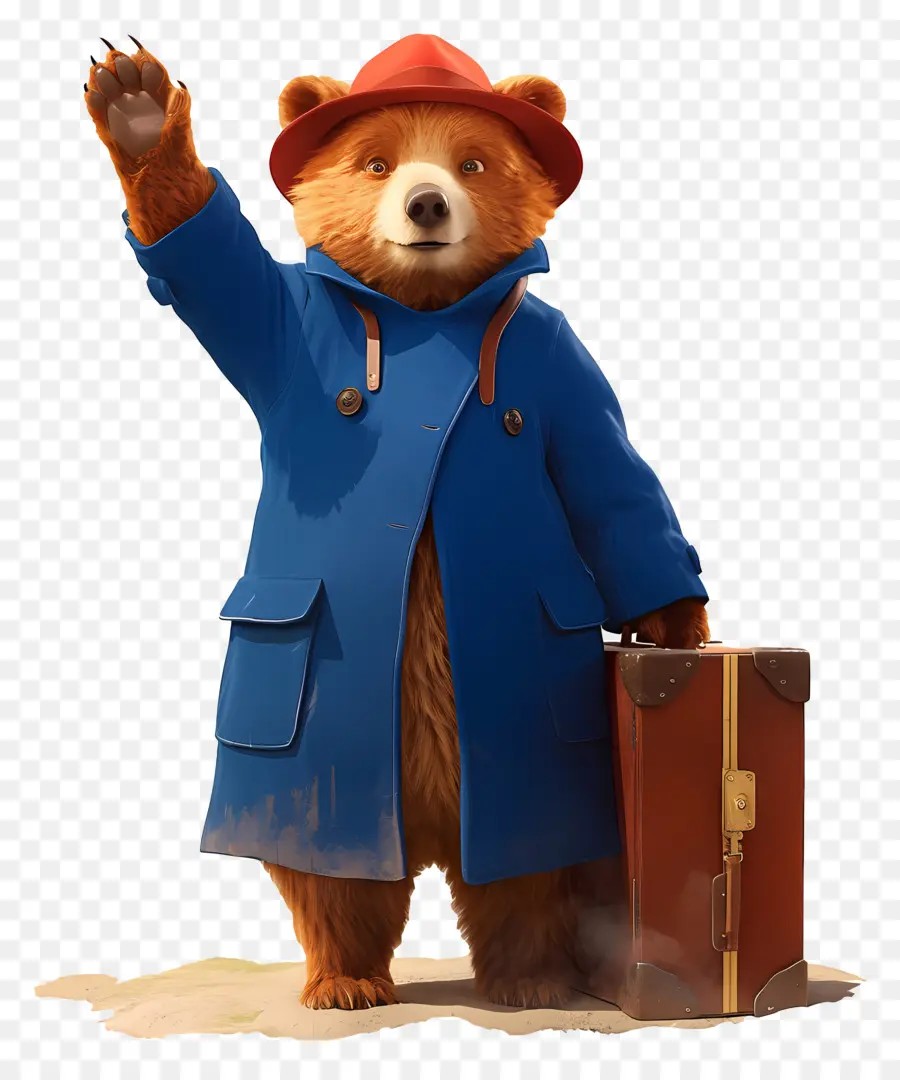 Paddington，Oso De Dibujos Animados PNG