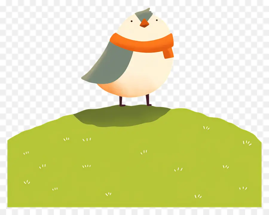 Pájaro De Dibujos Animados，Pájaro Con Bufanda PNG