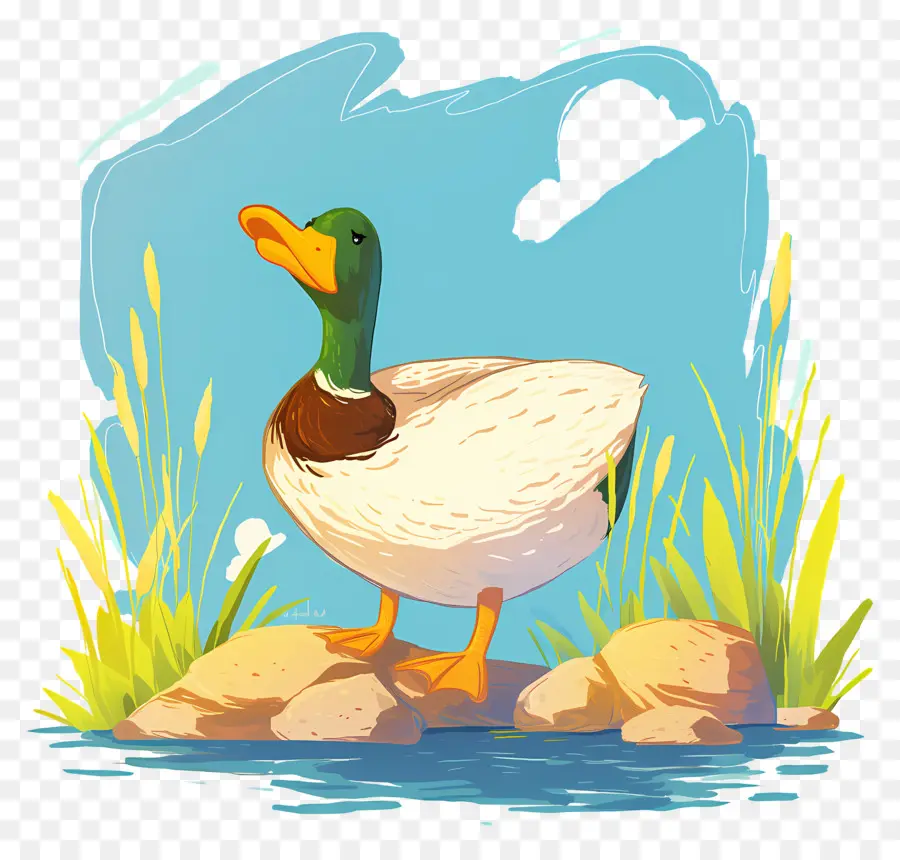 Pato De Dibujos Animados，Estanque PNG