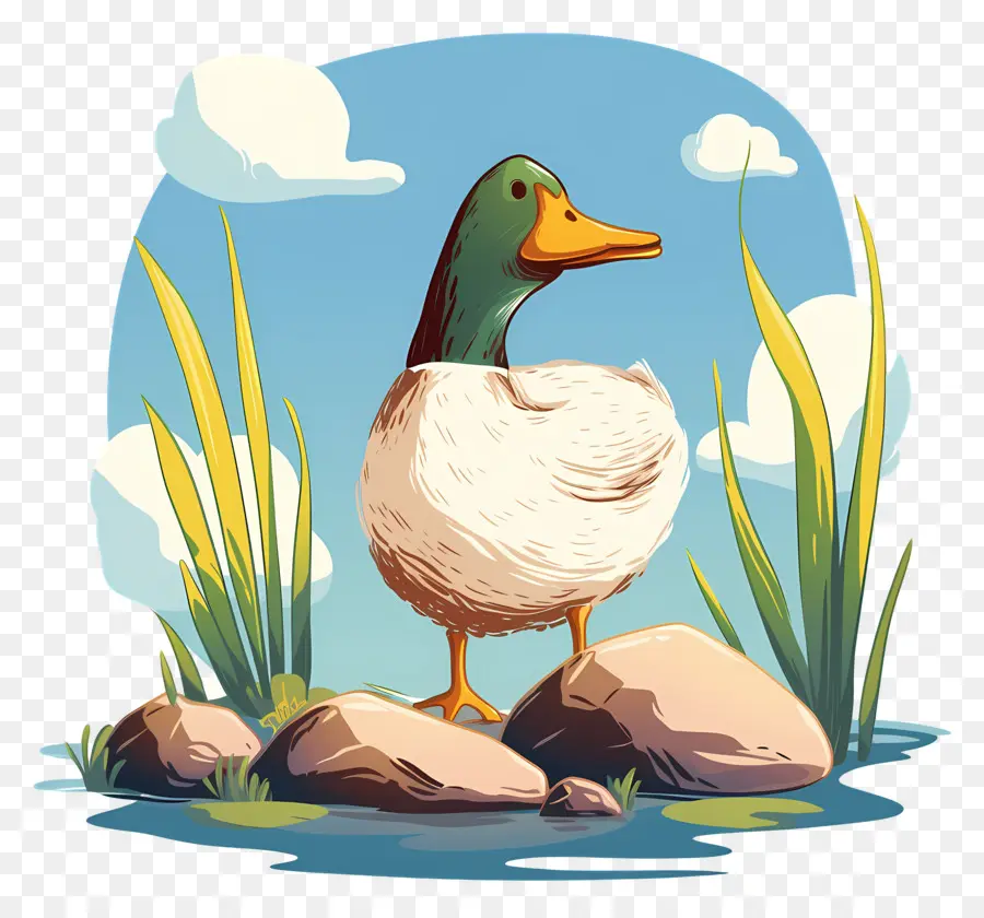 Pato De Dibujos Animados，Estanque PNG