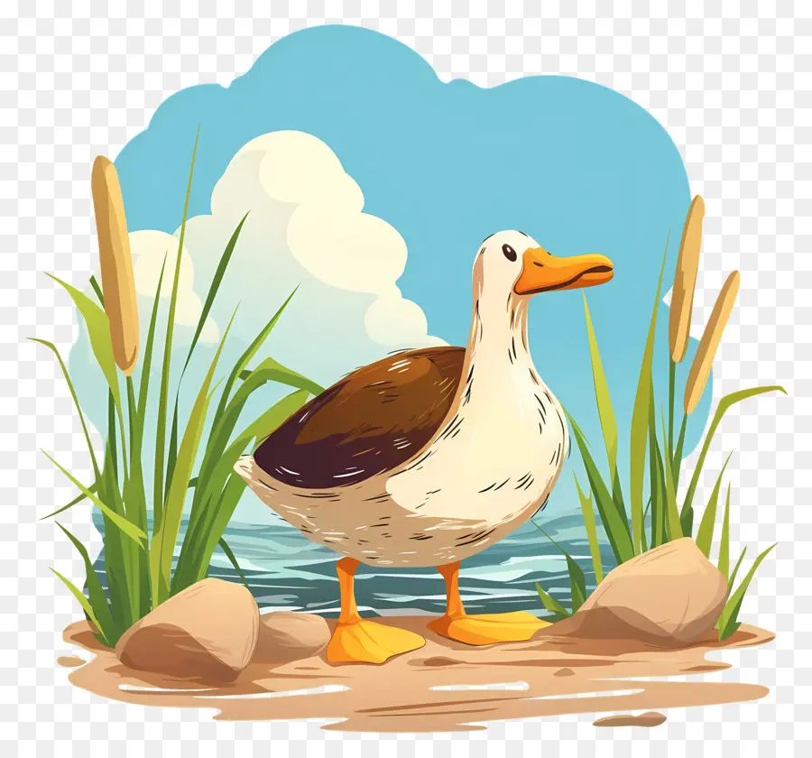 Pato De Dibujos Animados，Estanque PNG