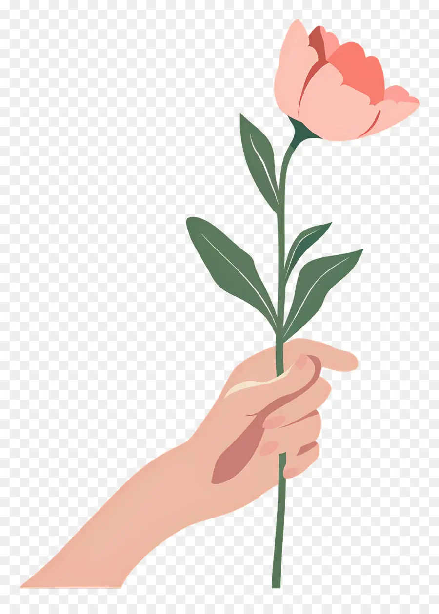 Día Mundial De La Bondad，Mano Que Sostiene El Tulipán Rosa PNG