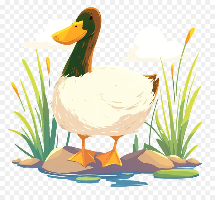 Pato De Dibujos Animados，Estanque PNG