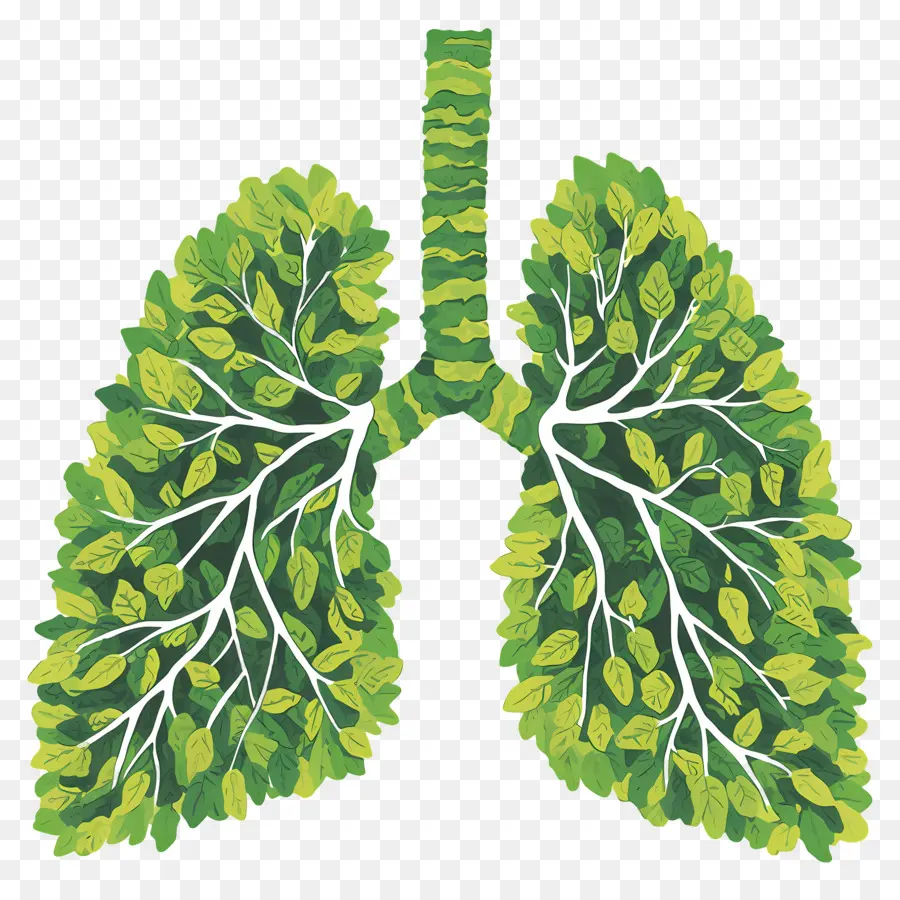 Día Nacional De Prevención De La Contaminación，Pulmones PNG