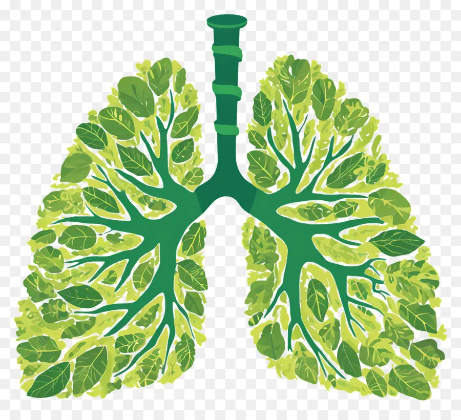 Día Nacional De Prevención De La Contaminación，Pulmones PNG