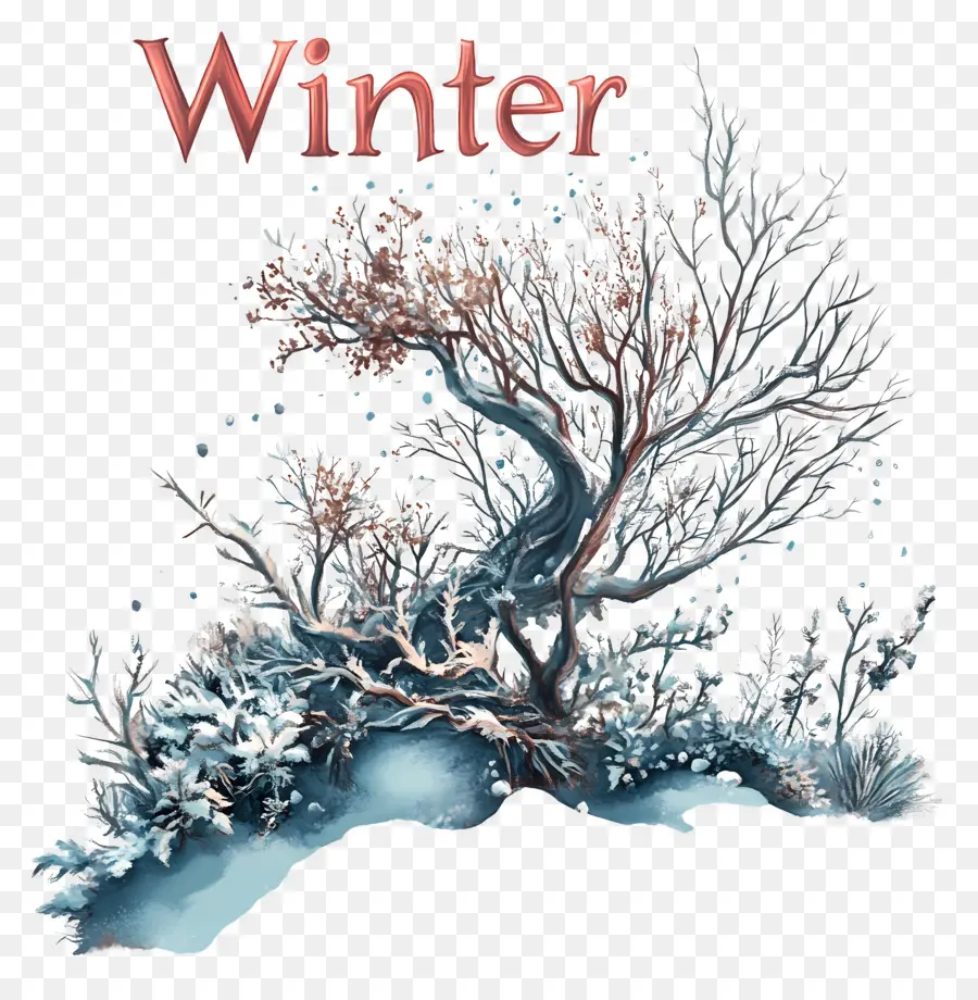 Palabra Invierno，árbol De Invierno PNG