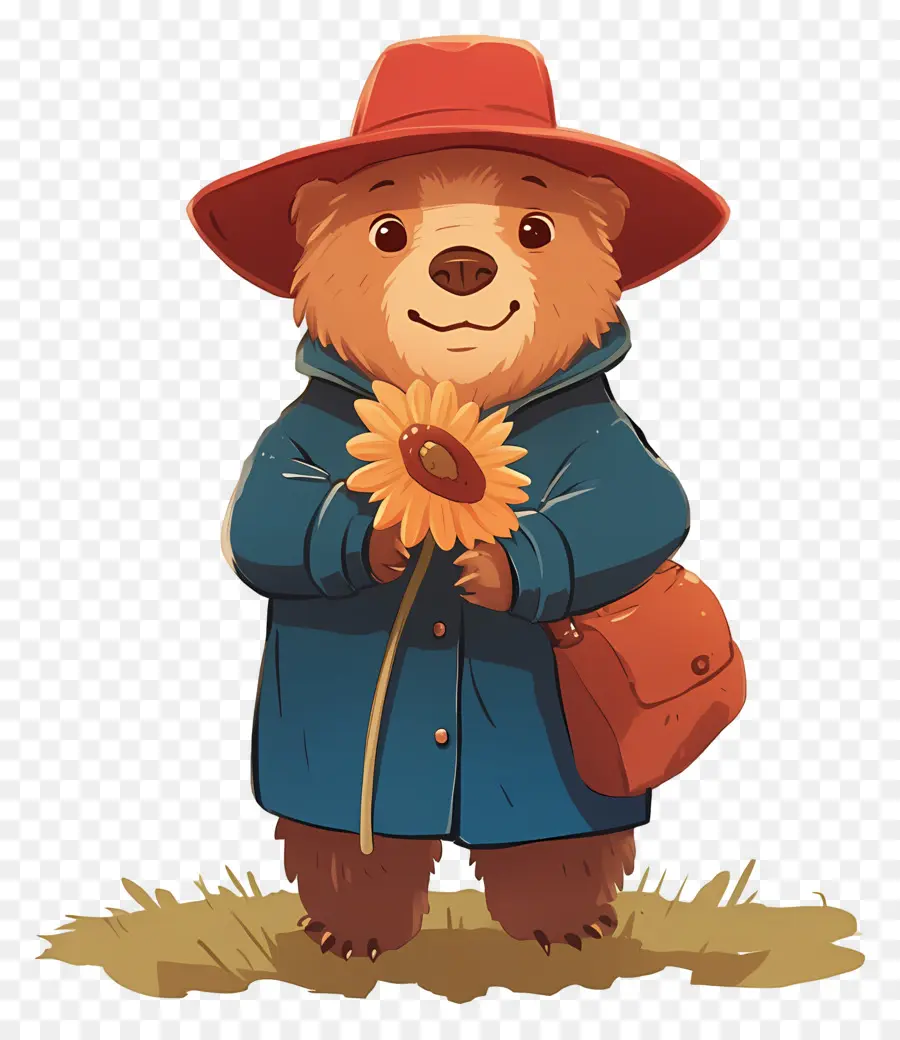 Paddington，Oso Con Girasol PNG